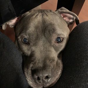 Meet your Posher, Elisha